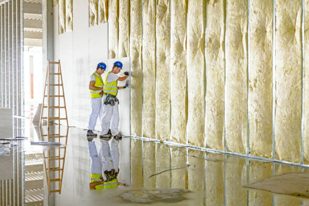 Eco-Friendly or Green Insulation Solutions in Stuart, VA